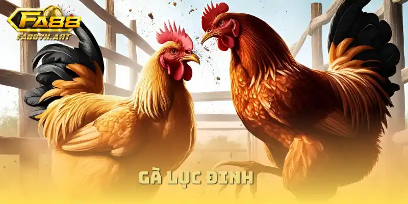 gà lục đinh